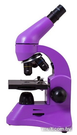 Levenhuk Rainbow 50L (аметист) 69047