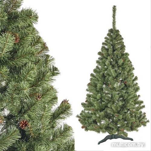 Ель Sonic Лена с натуральными шишками 1.8 м