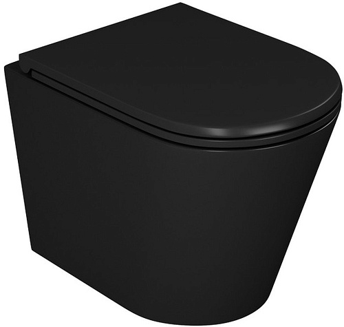 D&K Venice DT1026025 (черный, сиденье микролифт)