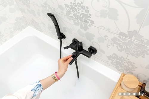 Смеситель Laveo Pinar BAW710D