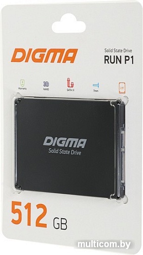 Digma Run P1 512GB DGSR2512GP13T