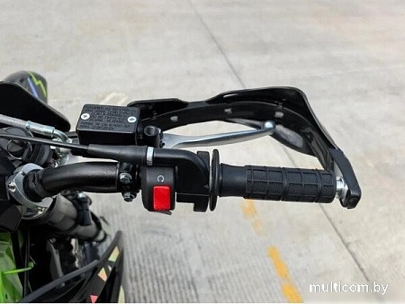 Мотоцикл AVM BisonX 300 (зеленый)