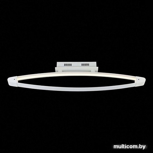 Припотолочная люстра ST Luce Orione SL920.102.01