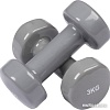 Набор гантелей Indigo 92005 IR 2x3 кг (серый)