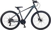 Велосипед Totem Master-29HDA (серый)