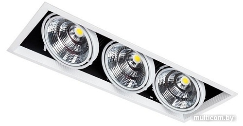 Точечный светильник Arte Lamp Merga A8450PL-3WH