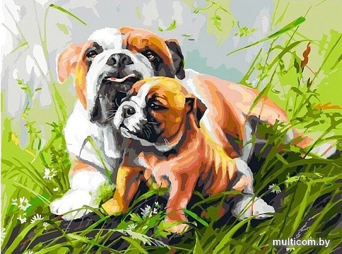 Картина по номерам Белоснежка Гордая мамаша 346-AS