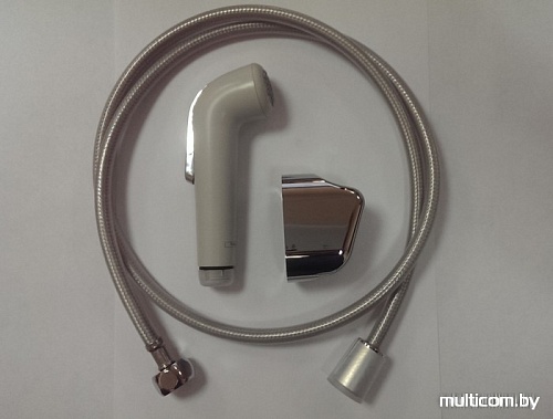 Душевая лейка Hansgrohe Croma 32122000