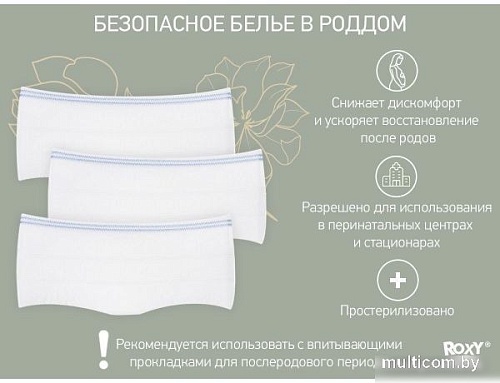 Послеродовые трусы Roxy Kids RPN-001-L (5 шт)