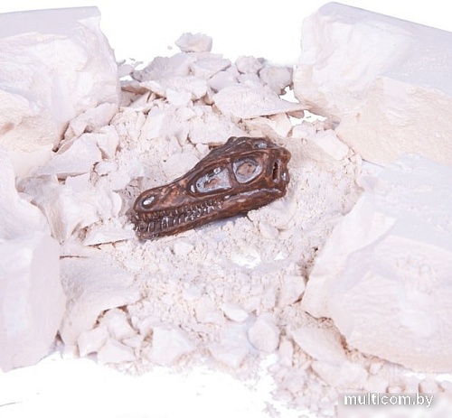 Набор для опытов Bondibon Науки с Буки. Тайны веков. Велоцираптор ВВ4786