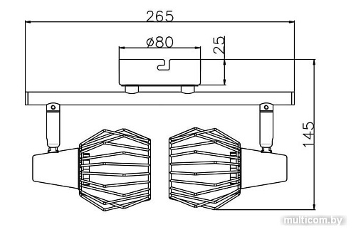 Спот Rivoli Naturale 7002-702