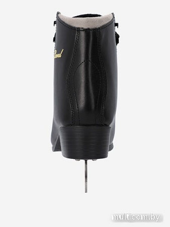 Коньки Nordway P6HJFWZKC4 116924-99 (р. 41, черный)