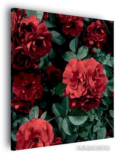 Картина Stamprint Красные розы АT040 (67x67)