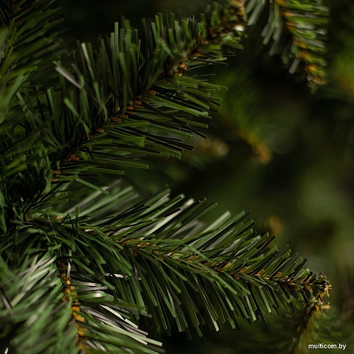 Ель Ёлушка Невская ЕНЕВ 15 (1.5м)