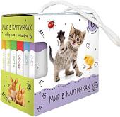 Набор книг издательства Malamalama Шоубокс. Мир в картинках