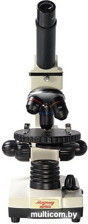 Микромед Эврика 40х-1280х в кейсе 22831