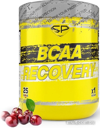 BCAA Steelpower Recovery (250 г, вишня)