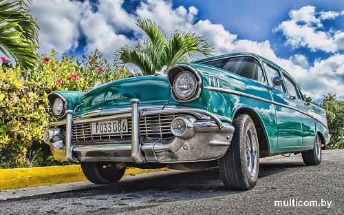 Картина Stamion Шевроле (50x80см)