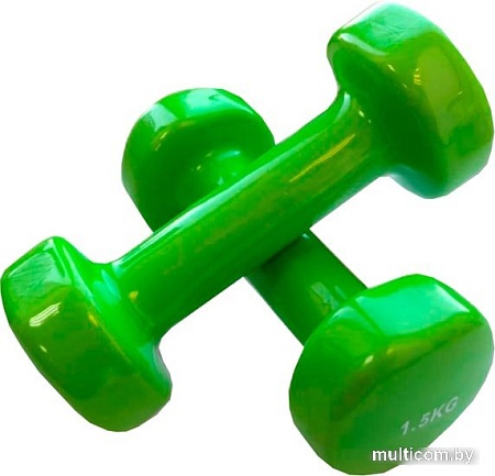 Гантели Indigo 92005 IR 2x1.5 кг (салатовый)