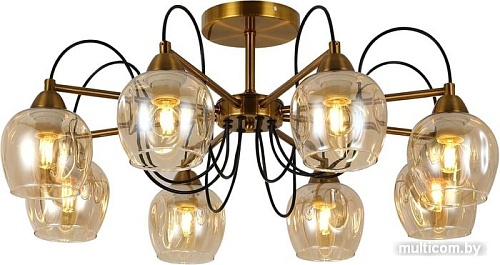 Люстра средней высоты Evoluce Acro SLE110002-08