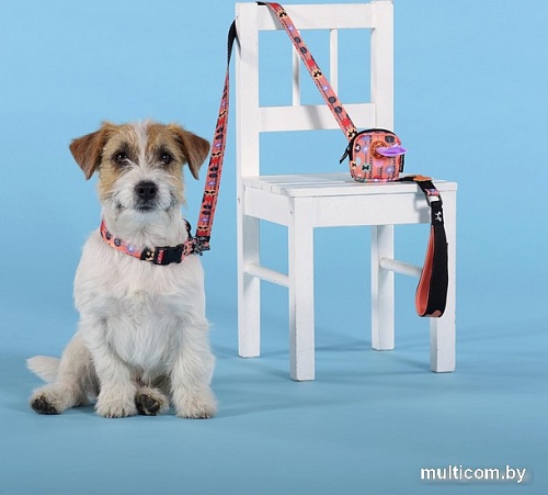 Ошейник United Pets Complete Me Forever Collar (S)