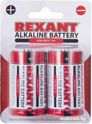 Батарейки Rexant D/LR20 2шт 30-1020