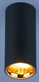 Точечный светильник Elektrostandard DLR030 12W 4200K (черный матовый/золотистый)