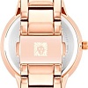 Наручные часы Anne Klein 3876GNRG
