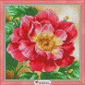 Алмазная мозаика Алмазная Живопись Цветущий пион АЖ-1444