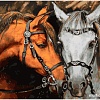 Картина по номерам Белоснежка Белая и гнедая 935-AS