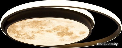 Припотолочная люстра LOFT IT Luna 10217