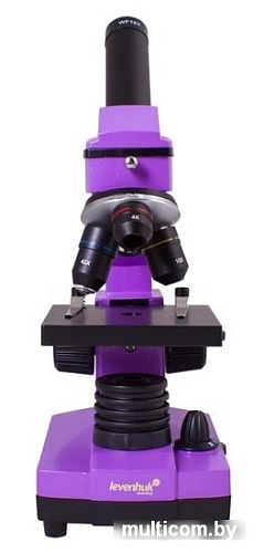 Levenhuk Rainbow 2L Plus (аметист) 69042