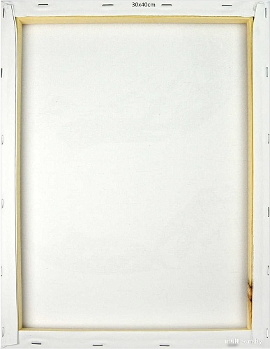 Картина по номерам Феникс+ Гармония 67967