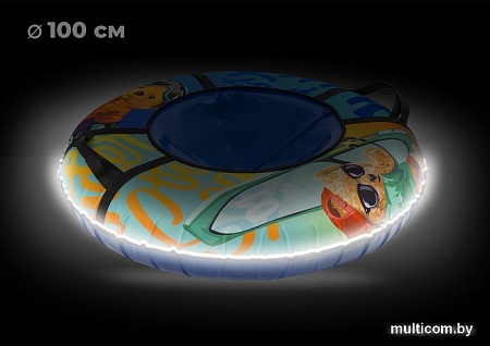 Тюбинг Тяни-Толкай Board Led 100 см (оксфорд, норм)