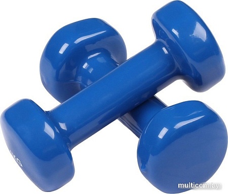Набор гантелей Indigo 92005 IR 2x2 кг (синий)