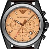 Наручные часы Emporio Armani AR6070