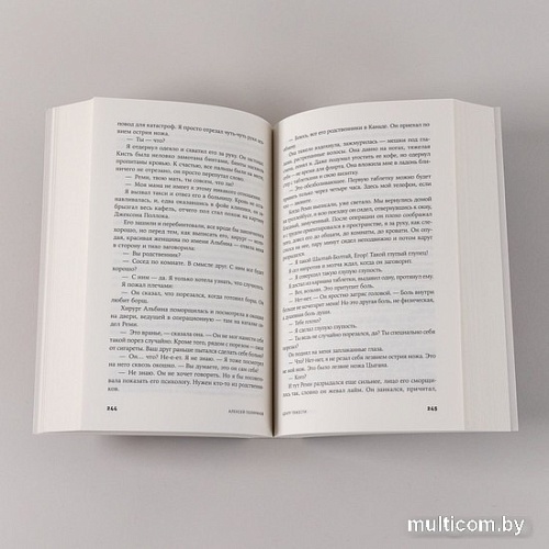 Книга издательства Альпина Паблишер. Центр тяжести (Поляринов А.)