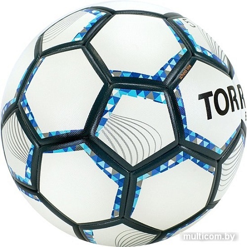 Мяч Torres BM1000 F320625 (5 размер)