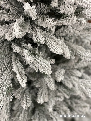 Ель GrandSiti Бергамо 2.4 м