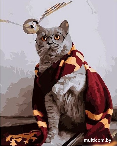 Kolibriki Кот Гарри Поттер VA-3040