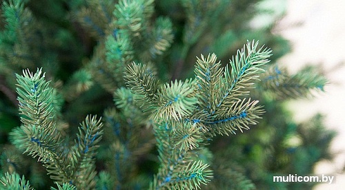 Ель Green Trees Грацио премиум 2.4 м