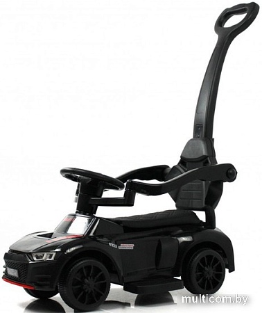 Каталка RiverToys F002FF-P (черный)