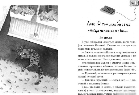 Книга издательства Самокат. Кот прямо с неба (Шанская Анастасия)