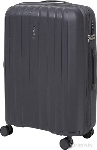 Чемодан-спиннер Fabretti FT2125-24-3