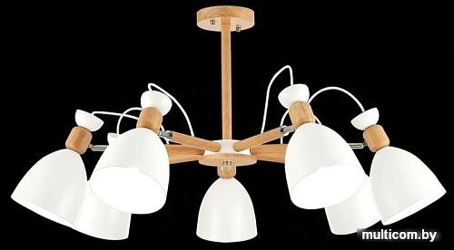 Люстра средней высоты Evoluce Balcamo SLE103802-07