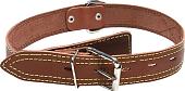 Ошейник Gamma Кожаный c кольцом 11232025