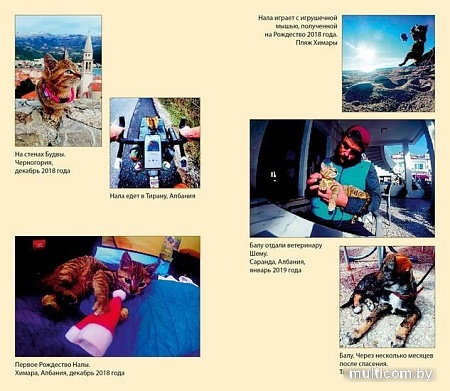 Книга издательства Азбука. Мир Налы (Николсон Д.)