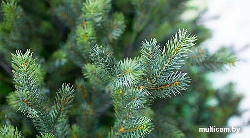 Ель Green Trees Грацио премиум 1.5 м