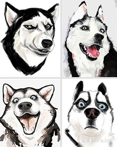 Картина по номерам Молли Мемчики. Хаски-шутник 40x50 HR0675