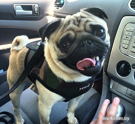 Шлейка-жилетка Puppia Soft Vest PAHA-AH305-CA-3L (камуфляж)